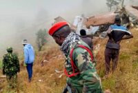 Foto: Tim penyelamat menemukan puing-puing pesawat Wakil Presiden Malawi