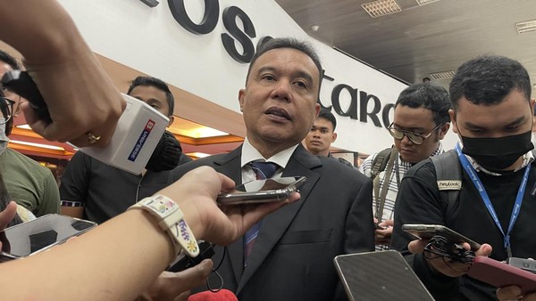 Wakil Ketua DPR Dasco (Foto: dok. detikcom)