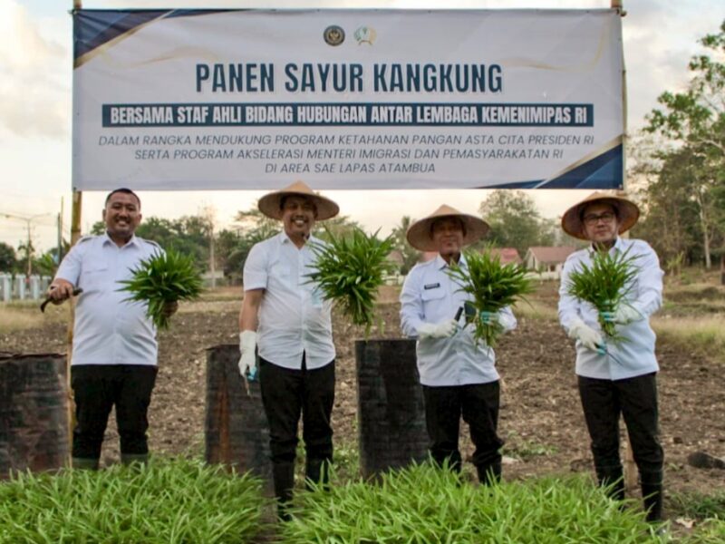 Staf Ahli Menteri Bidang Kerja Sama Antar Lembaga Kementerian Imigrasi dan Pemasyarakatan, Anggiat Napitupulu (kedua kiri) saat panen sayuran di Atambua NTT, Selasa (16/9/2025).(Foto: Dok.Imigrasi Atambua)