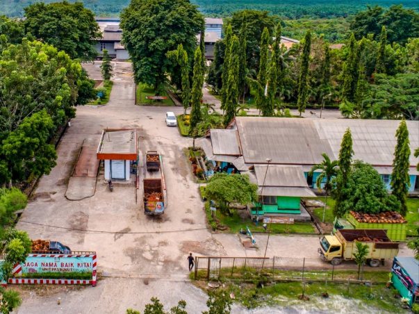 Foto: PTPN IV PalmCo 