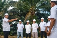 Foto: Dok. Humas PTPN IV PalmCo