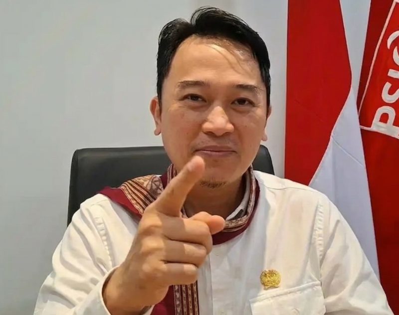 Anggota Komisi A DPRD DKI Jakarta Fraksi PSI.(Foto: Dok. Pribadi)