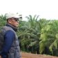 Direktur Utama PTPN IV PalmCo, Jatmiko K. Santosa.(Foto: Dok. Humas PTPN IV PalmCo)