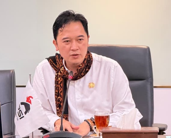 Anggota Komisi A DPRD DKI Jakarta Fraksi PSI, Kevin Wu. (Foto: Dok. Pribadi)