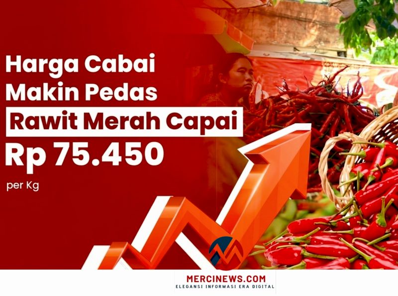 Harga Cabai (Foto: Dok. Mercinews.com)