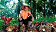 Pekerja kebun kelapa sawit sedang beristirahat.(Foto: Dok. Humas PTPN IV PalmCo)