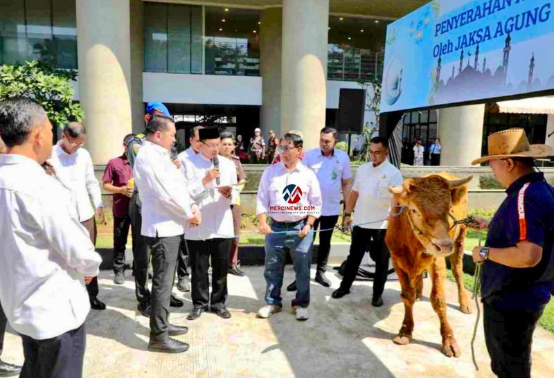 Ketua Forwaka Baren A. Siagian secara simbolis menerima seekor sapi kurban jenis limousin dari Jaksa Agung RI ST Burhanudin di halaman Kejagung, Jakarta, Selasa (26/5/2026). (Foto: istimewa)