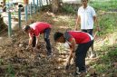 PTPN IV PalmCo gelar aksi hijau serentak pada Hari Lingkungan Hidup Sedunia 2026, dari normalisasi sungai hingga penanaman pohon. (Foto: Dok. PTPN IV PalmCo)
