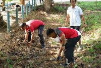 PTPN IV PalmCo gelar aksi hijau serentak pada Hari Lingkungan Hidup Sedunia 2026, dari normalisasi sungai hingga penanaman pohon. (Foto: Dok. PTPN IV PalmCo)