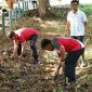 PTPN IV PalmCo gelar aksi hijau serentak pada Hari Lingkungan Hidup Sedunia 2026, dari normalisasi sungai hingga penanaman pohon. (Foto: Dok. PTPN IV PalmCo)