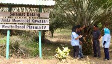 Foto: Dok. PTPN IV PalmCo