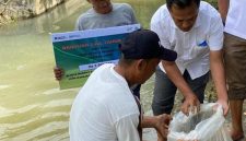 Foto: Dok. PTPN IV Regional 2