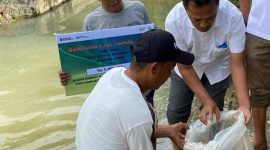 Foto: Dok. PTPN IV Regional 2