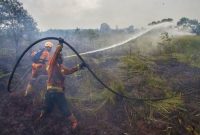 Foto: Dok. PTPN IV PalmCo