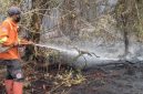 Petugas pemadam kebakaran memadamkan api dalam penanganan kebakaran hutan dan lahan (karhutla). (Foto: Istimewa)