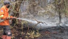 Petugas pemadam kebakaran memadamkan api dalam penanganan kebakaran hutan dan lahan (karhutla). (Foto: Istimewa)