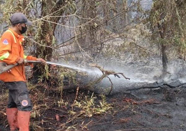 Petugas pemadam kebakaran memadamkan api dalam penanganan kebakaran hutan dan lahan (karhutla). (Foto: Istimewa)
