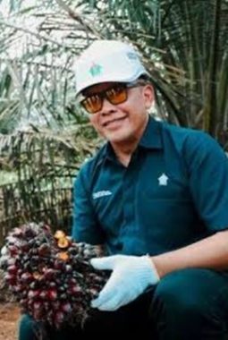 PTPN IV PalmCo Dampingi Peremajaan 49.077 Hektare Kebun Sawit Rakyat, Perkuat Kemitraan dari Hulu hingga Hilir