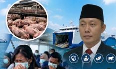 Viral Keluhan Bau Babi di Kapal ASDP, Pemerhati Transportasi Laut Usulkan Kapal Khusus