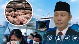 Pemerhati Transportasi Laut, Akbar Ikramsyah menyampaikan pandangannya terkait Keluhan penumpang kapal penyeberangan PT ASDP Indonesia Ferry (Persero) terkait bau menyengat dari kendaraan pengangkut ternak babi di rute Kupang-Sabu-Sumba, NTT. (Foto: istimewa)
