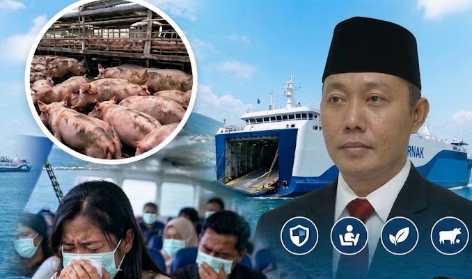Pemerhati Transportasi Laut, Akbar Ikramsyah menyampaikan pandangannya terkait Keluhan penumpang kapal penyeberangan PT ASDP Indonesia Ferry (Persero) terkait bau menyengat dari kendaraan pengangkut ternak babi di rute Kupang-Sabu-Sumba, NTT. (Foto: istimewa)