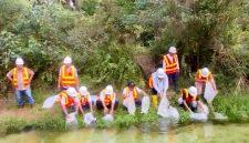 PTPN IV PalmCo menebar 60.000 bibit ikan air tawar jenis baung dan nila di 12 sungai di Riau pada pekan ketiga Oktober 2026. (Foto: Dok. PTPN IV PalmCo)