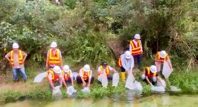 foto slider headline